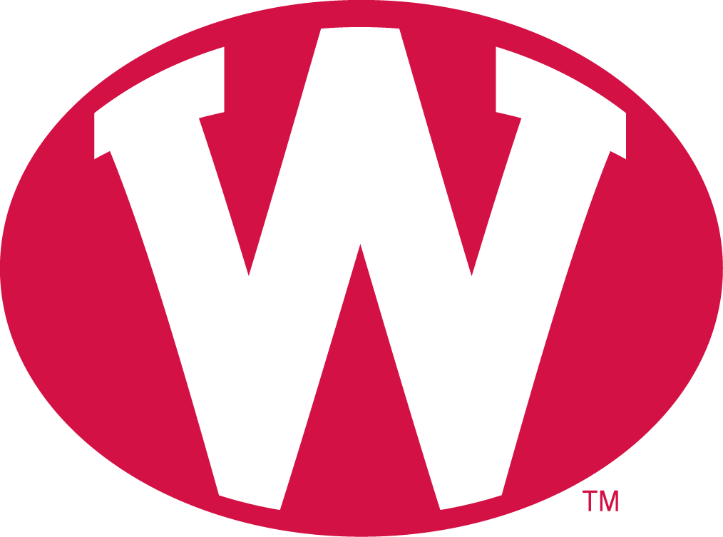 Wisconsin Badgers 1972-1977 Alternate Logo iron on transfers for clothing